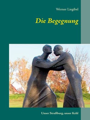 cover image of Die Begegnung